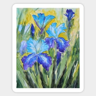 Blue irises Watercolor Painting Sticker